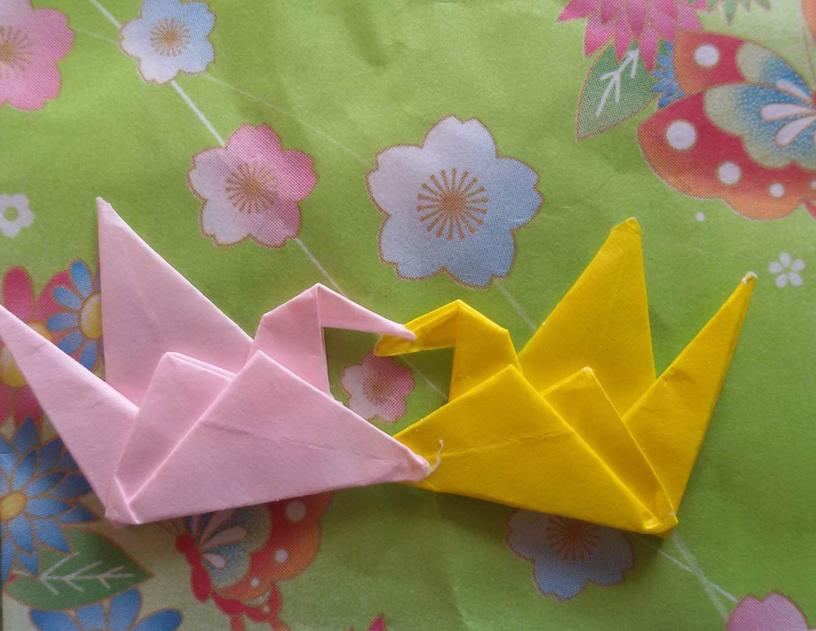 cigni-origami